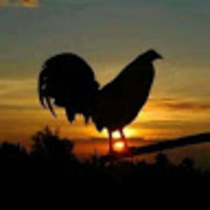 Meet your Posher, Najera_gamefarm13
